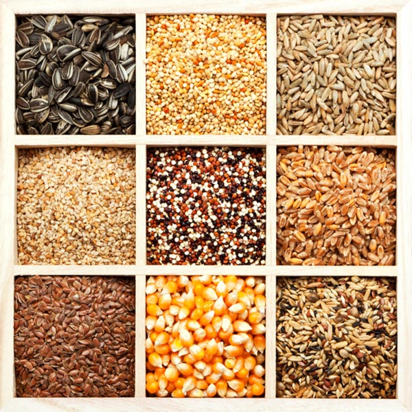 семена и зерновые